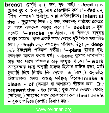 Bangla Meaning of Breast