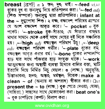 breast - Bengali Meaning - breast Meaning in Bengali at