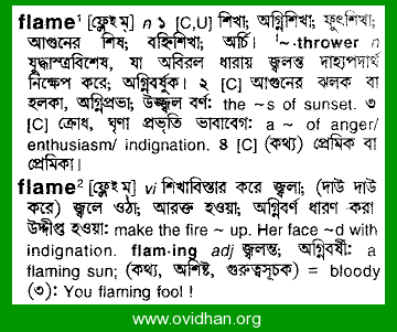Bangla Meaning of Flank