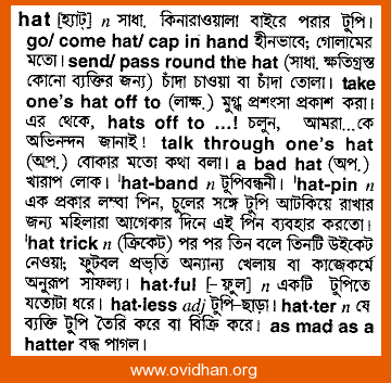 Hat meaning 2024 in english