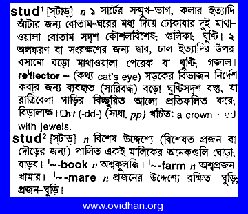 Meaning of stubborn with pronunciation - English 2 Bangla